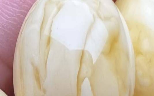 琥珀香味是什么味道,terea琥珀口味
