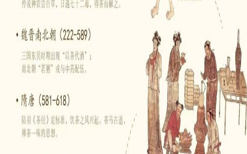 茶是什么时候被发现的,茶的起源时间