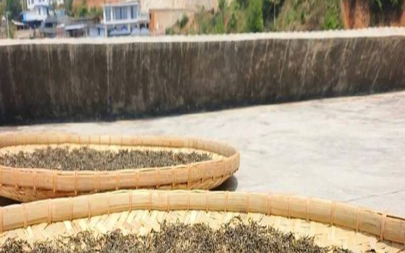 云南茶叶基地在哪,云南茶叶产地 云南茶叶基地在哪,云南茶叶产地