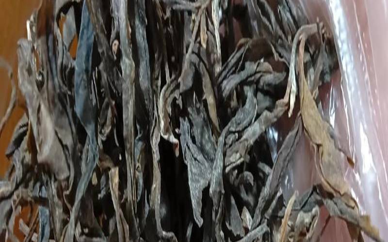 高海拔和低海拔茶的区别,海拔高到海拔低的地方 高海拔和低海拔茶的区别,海拔高到海拔低的地方