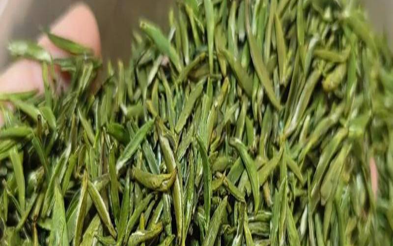 贵州的十大名茶,云南十大名茶