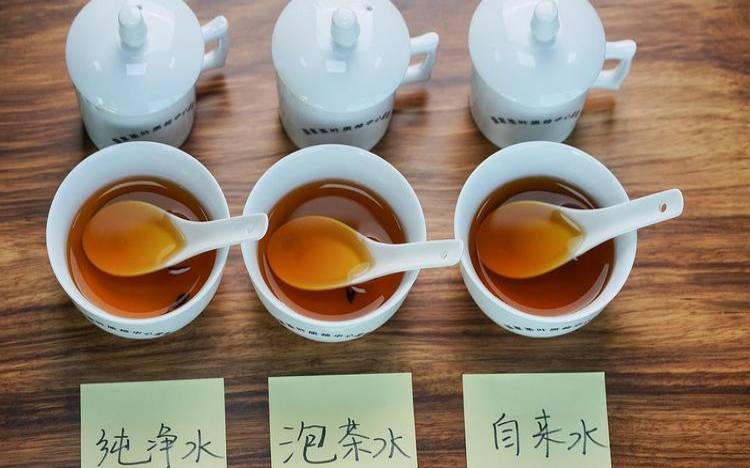 不同的水泡茶颜色不一样