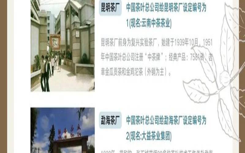 普洱茶产业发展建议,中国普洱茶第一县