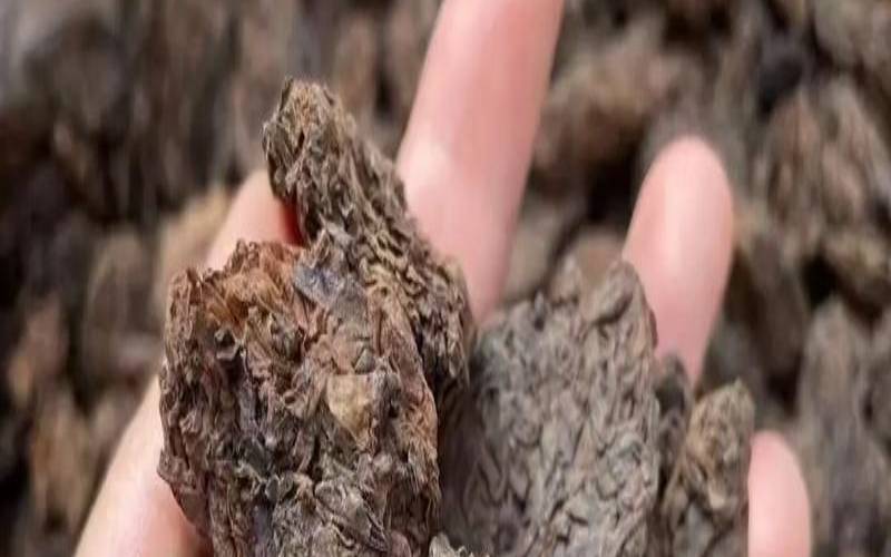 老茶头究竟是什么茶,老茶头是怎么形成的