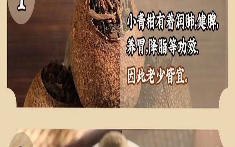 小青柑普洱功效和适用人群,怎么泡小青柑普洱茶