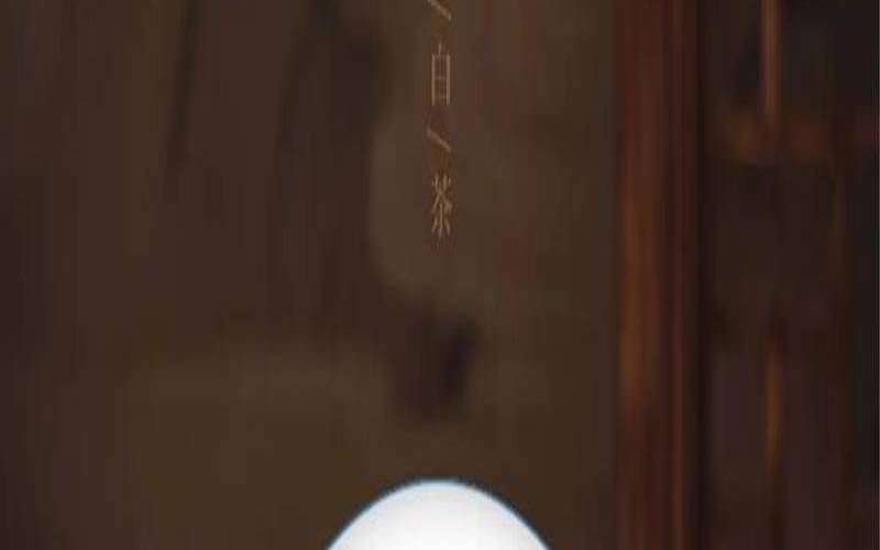 值得推荐的小众茶叶品牌,小众茶什么意思