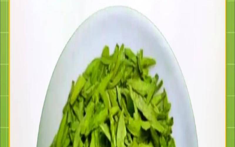 西湖龙井茶的介绍,龙井茶有什么特点