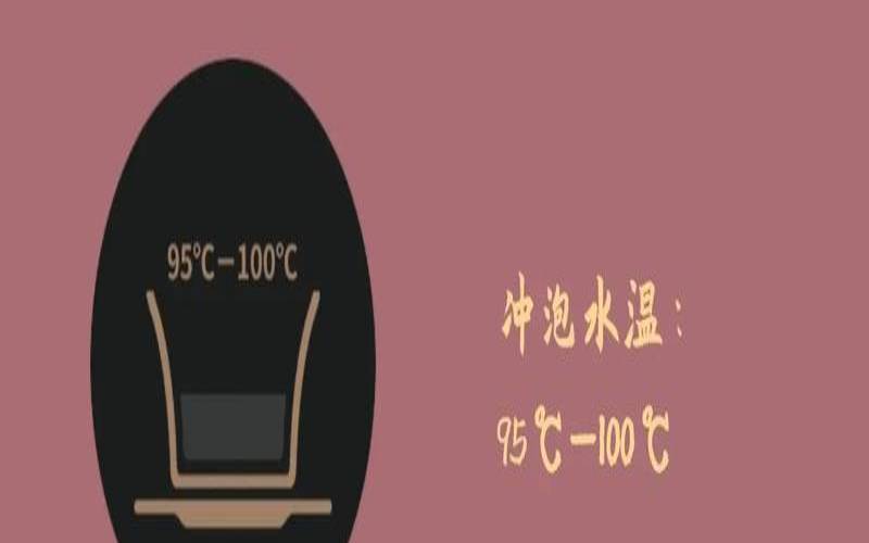 大红袍的冲泡方法和水温,大红袍正确的泡茶七个步骤 大红袍的冲泡方法和水温,大红袍正确的泡茶七个步骤