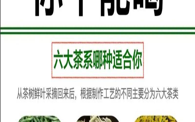 什么茶属于绿茶,男性喝什么茶对性功能好 什么茶属于绿茶,男性喝什么茶对性功能好