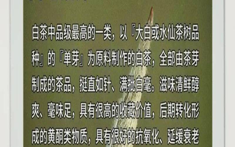 福鼎白茶有哪些牌子,福鼎白茶分类等级 福鼎白茶有哪些牌子,福鼎白茶分类等级