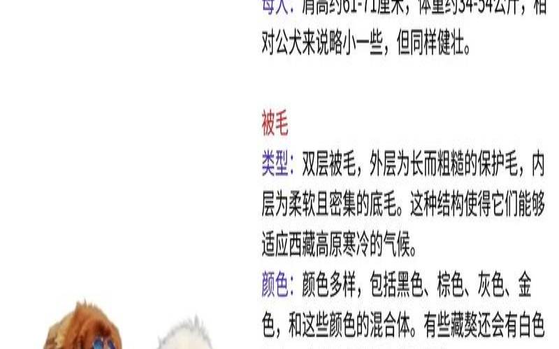 宠物的起源和发展,养狗的基本知识 宠物的起源和发展,养狗的基本知识