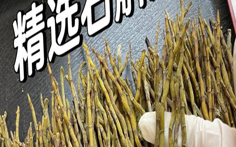 石斛煮普洱茶功效,石斛泡茶有什么功效 石斛煮普洱茶功效,石斛泡茶有什么功效