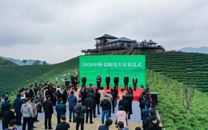 信阳市茶叶节几月几号,信阳采茶叶一般是几月份 信阳市茶叶节几月几号,信阳采茶叶一般是几月份