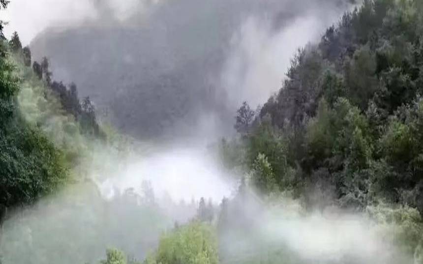 云南高山云雾茶产地是哪里,云雾茶哪里产的最好 云南高山云雾茶产地是哪里,云雾茶哪里产的最好