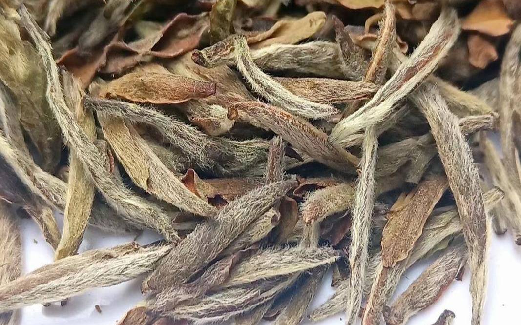 茶叶里毛茸茸的是什么,毛茸茸的茶叶 茶叶里毛茸茸的是什么,毛茸茸的茶叶
