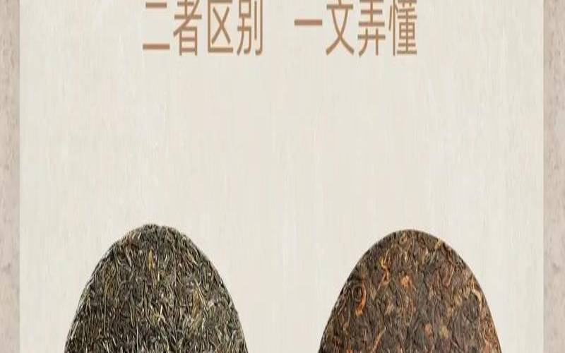 生普洱和熟普洱能一起泡吗,生普洱和什么一起泡不寒 生普洱和熟普洱能一起泡吗,生普洱和什么一起泡不寒