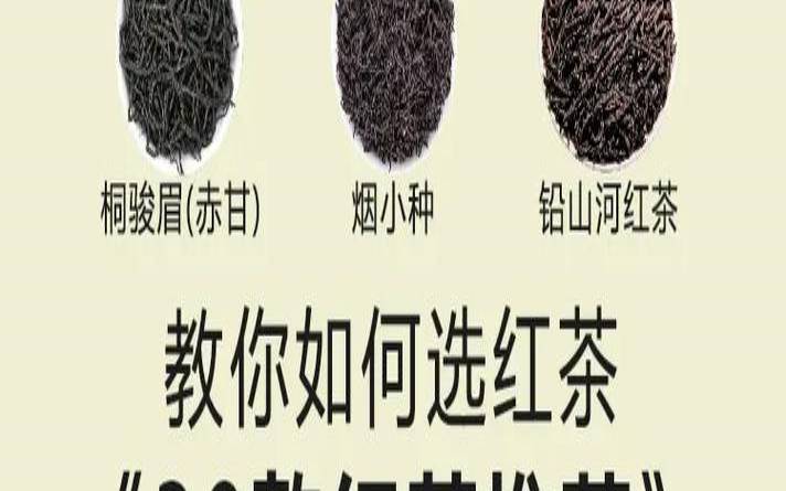滇红与普洱的区别是什么,滇红和金骏眉的区别 滇红与普洱的区别是什么,滇红和金骏眉的区别