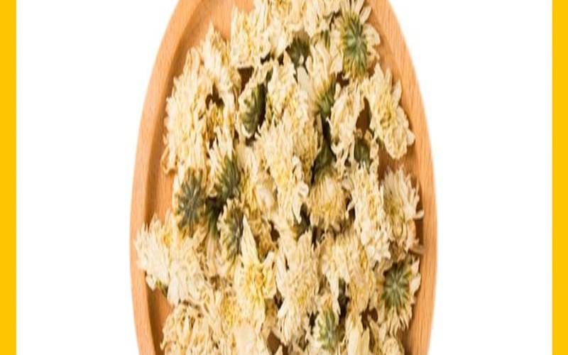 女生菊花茶可以天天喝吗,菊花茶能经常喝吗 女生菊花茶可以天天喝吗,菊花茶能经常喝吗