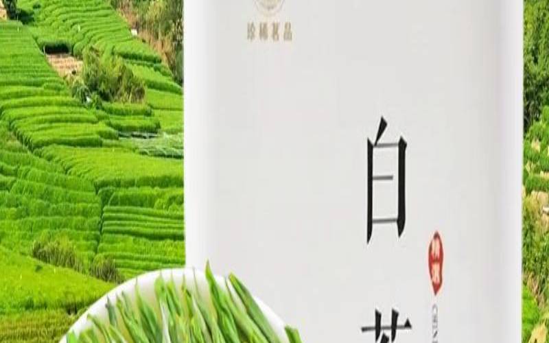 安吉白茶存放三年能喝吗,安吉白茶十大品牌排行榜 安吉白茶存放三年能喝吗,安吉白茶十大品牌排行榜