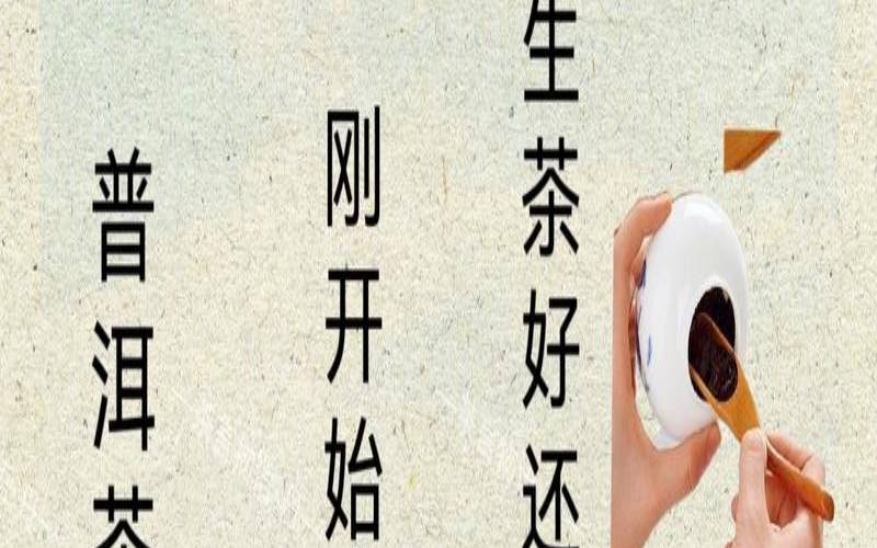 生普洱和熟普洱混着喝,熟普洱放多久饮用最佳 生普洱和熟普洱混着喝,熟普洱放多久饮用最佳